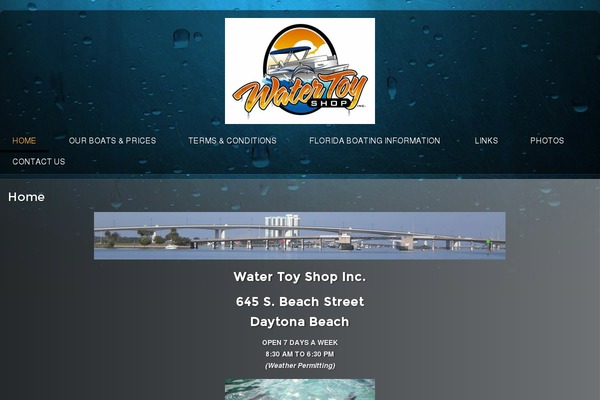 Rt_oculus_wp theme site design template sample