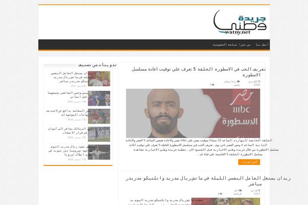 Sahifa theme site design template sample