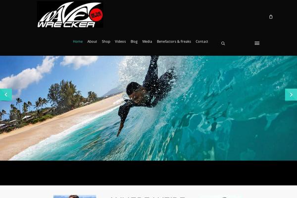 Salient theme site design template sample