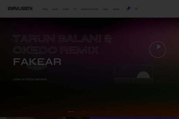 Rareradio theme site design template sample