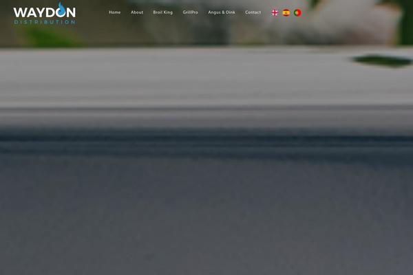Bridge Child theme site design template sample