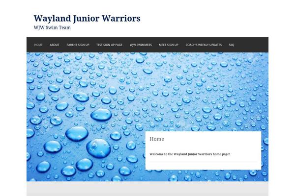 Sela theme site design template sample