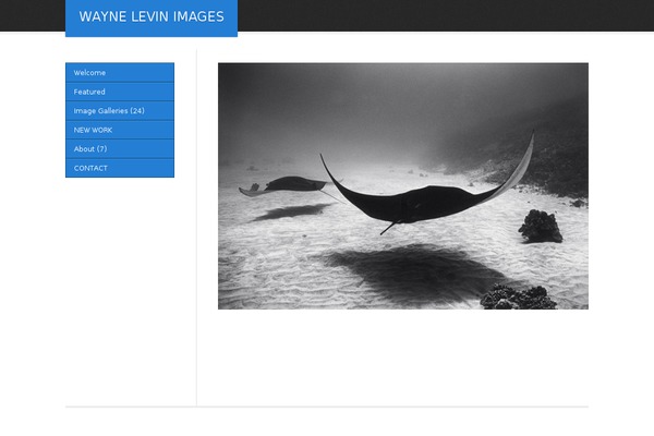 Eleven40 theme site design template sample