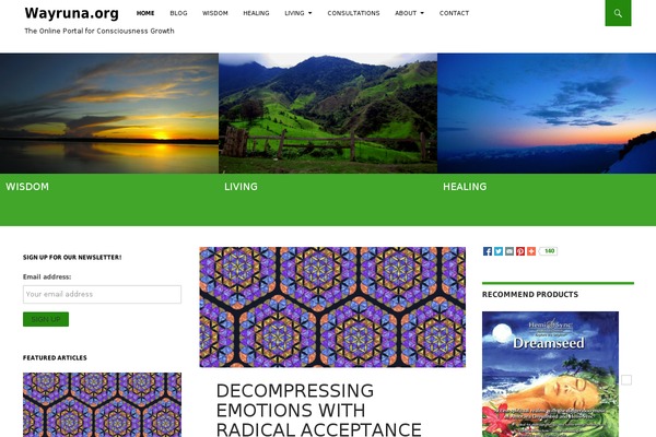 Site using Feature A Page Widget plugin