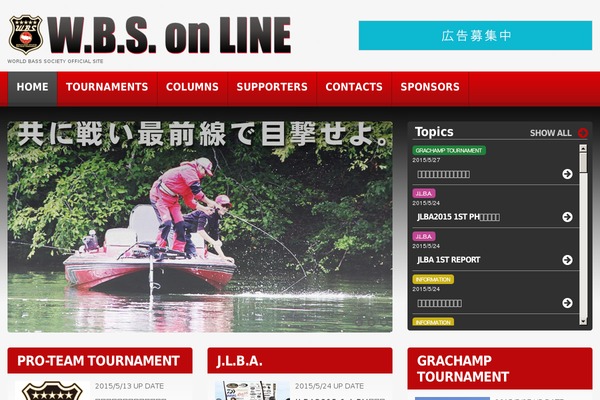 theme45390 theme websites examples