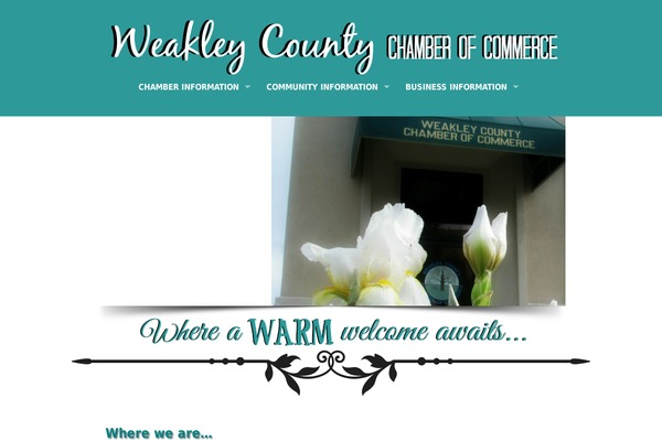 weakleycountychamber.com site used Action