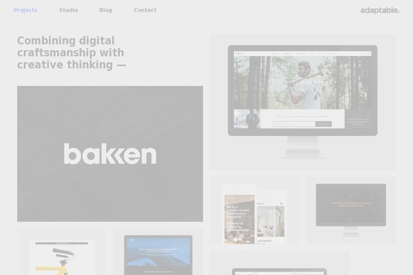 adaptable theme websites examples
