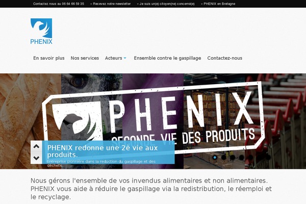 Whitelight theme site design template sample