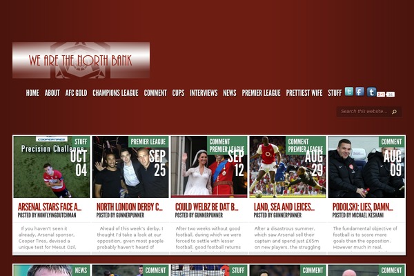 TheStyle theme site design template sample