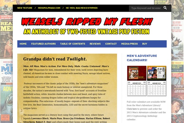 Zend theme site design template sample