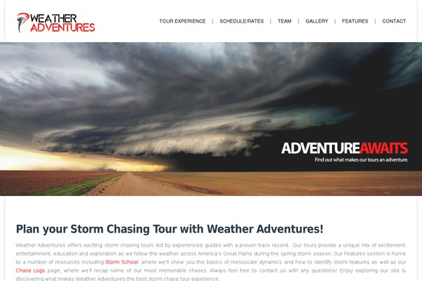 Klaus theme site design template sample