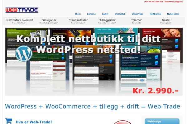 Virtue theme site design template sample