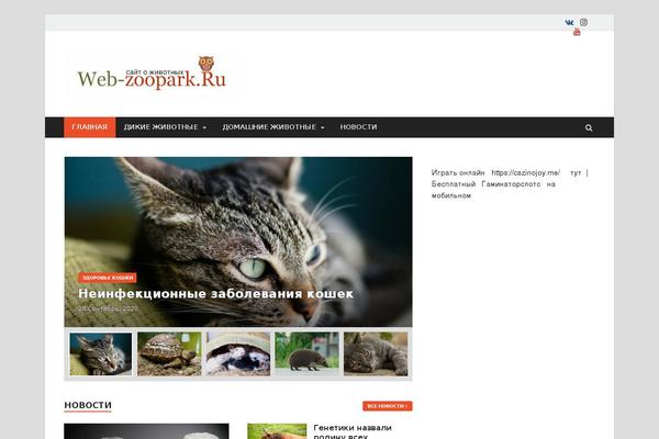 HitMag theme site design template sample
