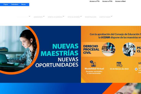 Site using Google Language Translator plugin