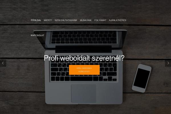Salient theme site design template sample
