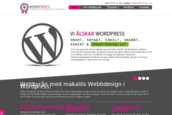 wp-avatar theme websites examples