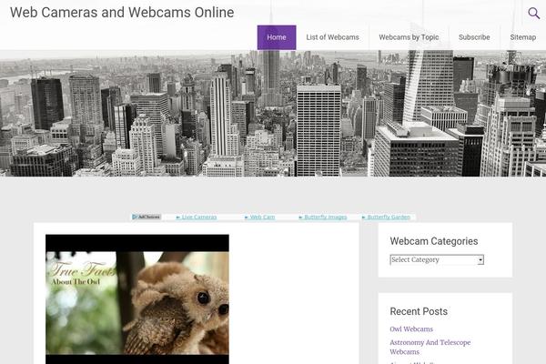 Radiate theme site design template sample