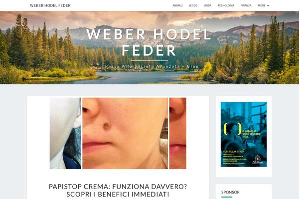 Nisarg theme site design template sample