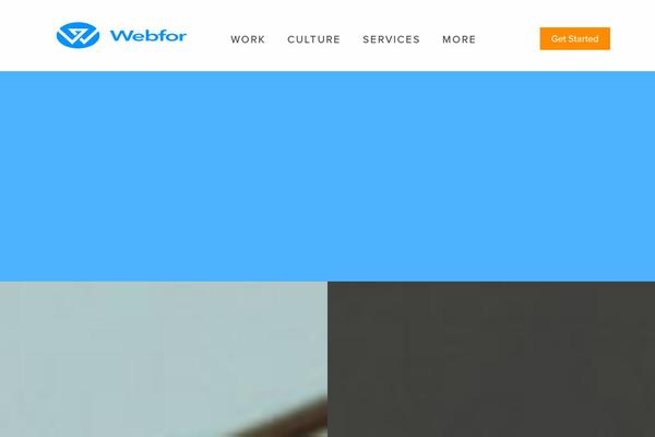 Panda theme site design template sample