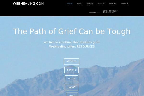 Parallax Pro theme site design template sample
