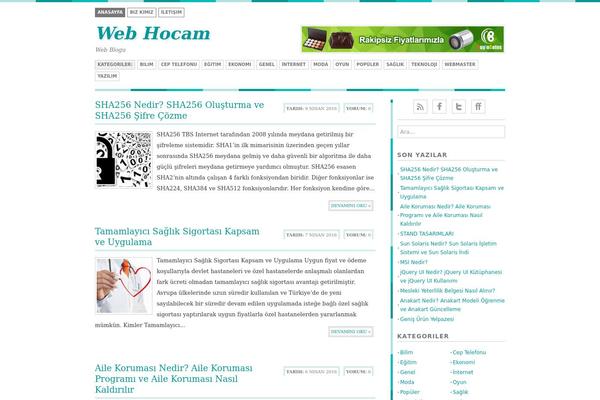 Bisade theme site design template sample