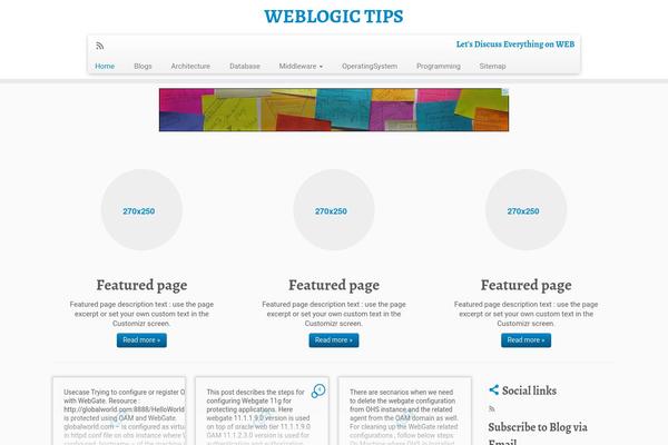 weblogic-tips.com site used Mts_interactive