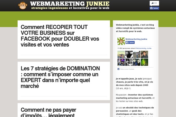 Japibas theme websites examples