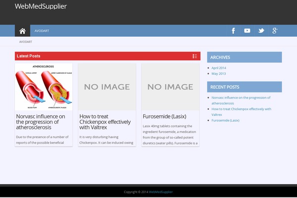 ProMax theme site design template sample