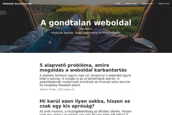 Zerif Lite theme site design template sample