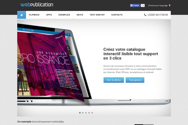 webpublication theme websites examples