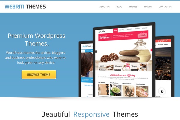 Themeshop theme websites examples