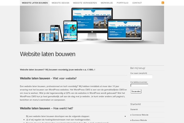 Branded-pro theme site design template sample