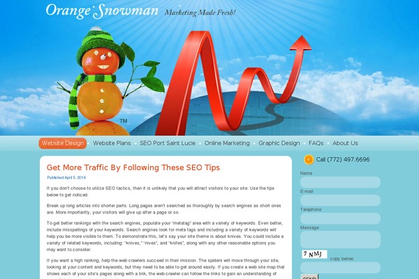 websitedomination theme websites examples