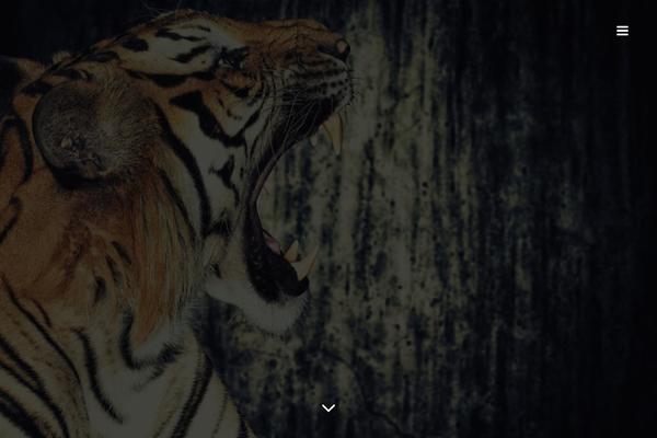 Ness theme site design template sample