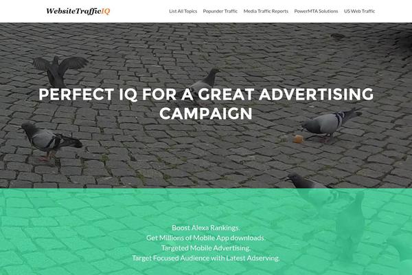 websitetrafficiq.com site used Zerif Lite
