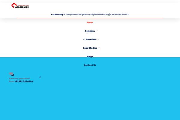 Nanosoft-child theme site design template sample