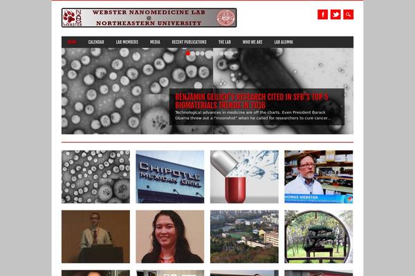 Magazino theme site design template sample