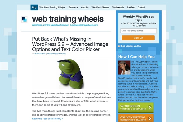 Total Child theme site design template sample