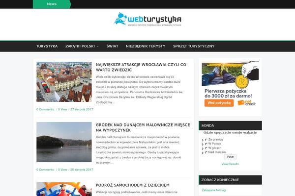 Bzine theme site design template sample