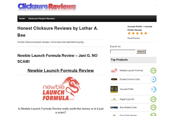 Ready Review theme site design template sample