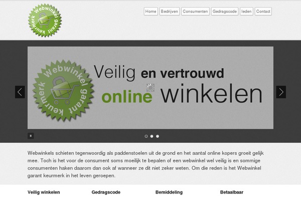 Business lite theme site design template sample