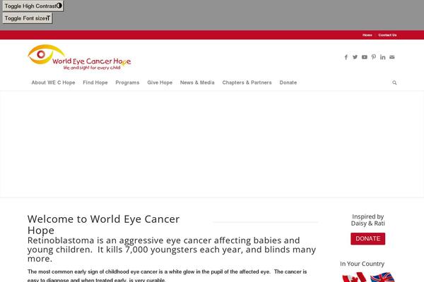 Site using WP Accessibility plugin