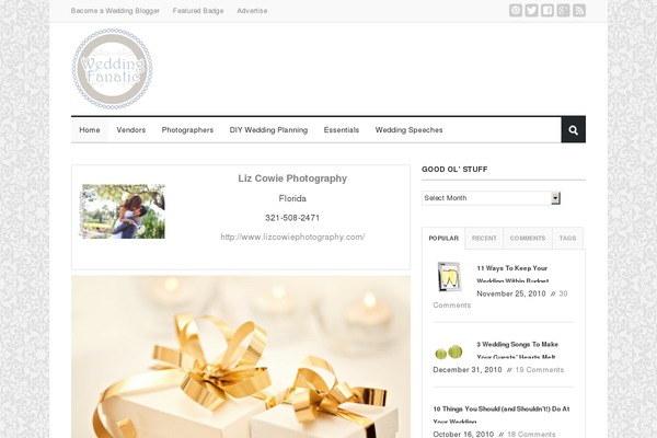 wedding-blog.net site used Wf-clean
