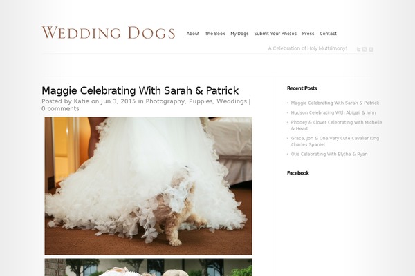 Modest theme site design template sample