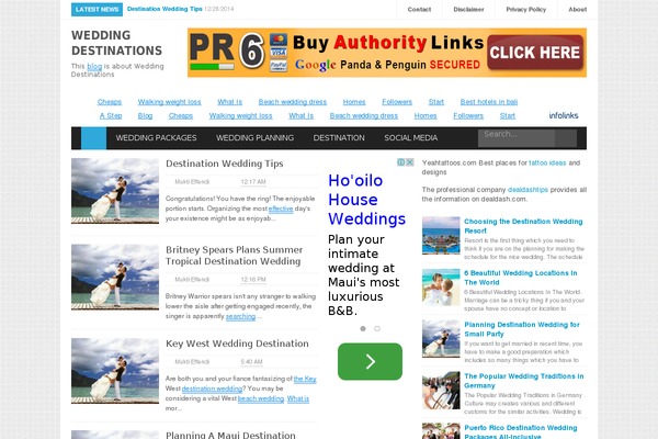 weddingdestinationz.com site used Theme1907