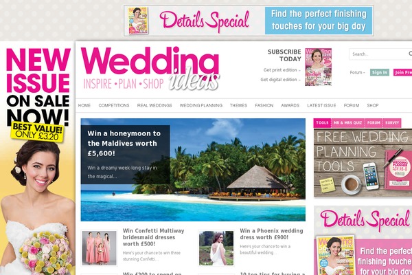 Newspaper Child theme site design template sample