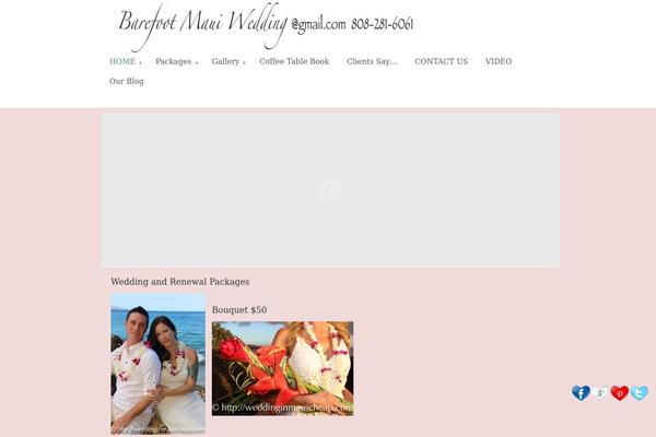 Site using iiRe Social Lite plugin