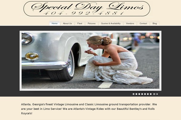 PureVISION theme site design template sample