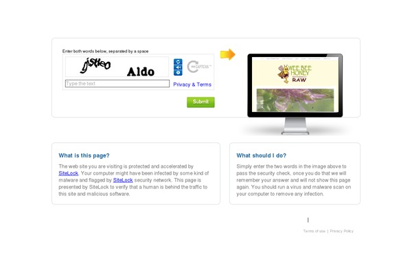 Birch theme site design template sample