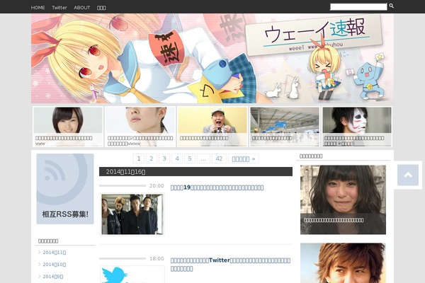 WS website example screenshot